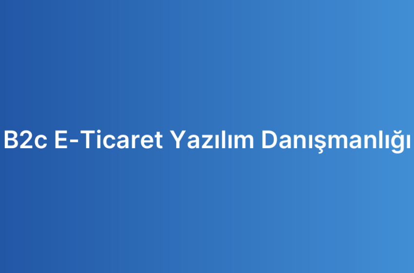 B2c E-Ticaret Yazılım Danışmanlığı