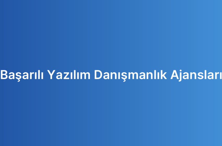 Başarılı Yazılım Danışmanlık Ajansları
