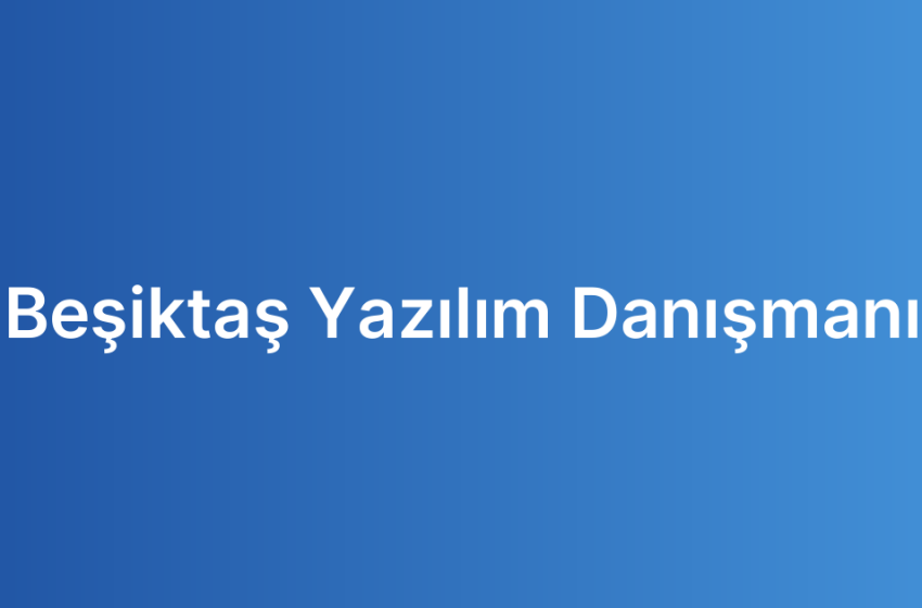 Beşiktaş Yazılım Danışmanı