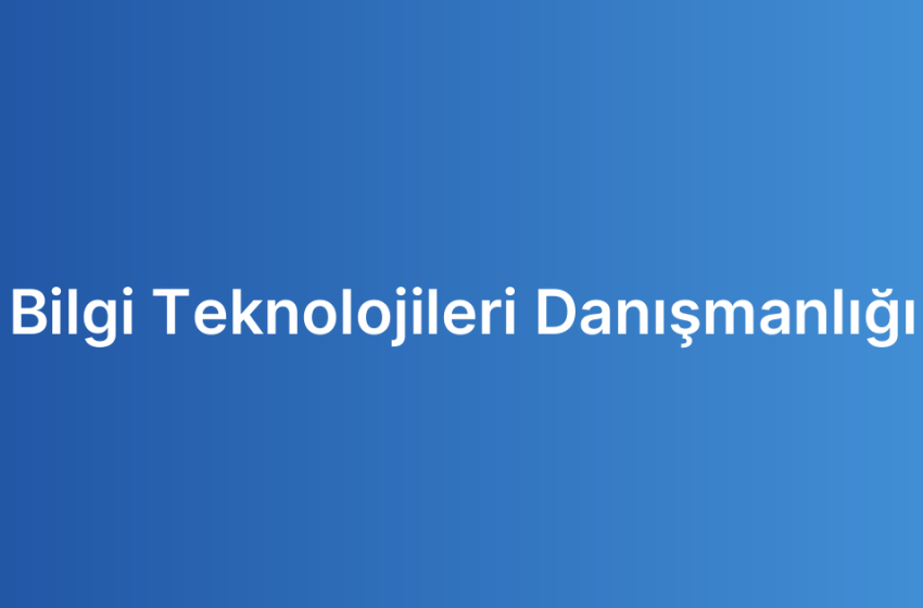 Bilgi Teknolojileri Danışmanlığı