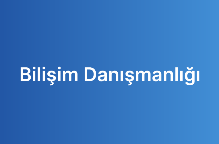 Bilişim Danışmanlığı
