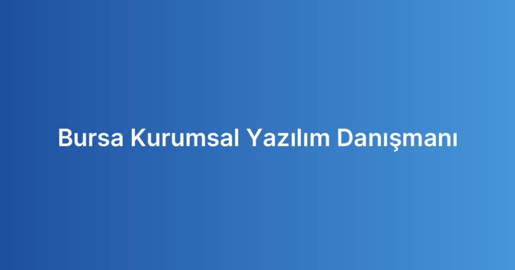Bursa Kurumsal Yazılım Danışmanı