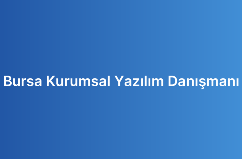 Bursa Kurumsal Yazılım Danışmanı