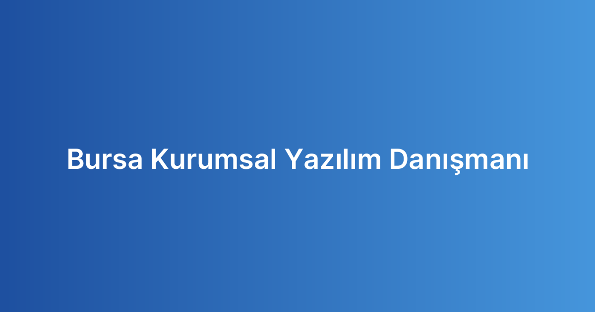 Bursa Kurumsal Yazılım Danışmanı