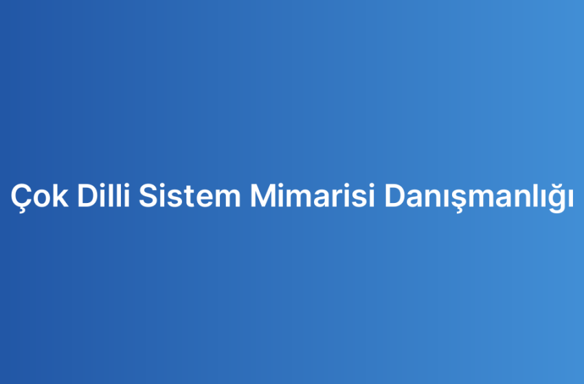 Çok Dilli Sistem Mimarisi Danışmanlığı