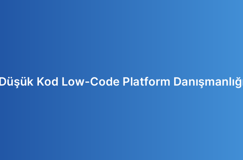 Düşük Kod Low-Code Platform Danışmanlığı