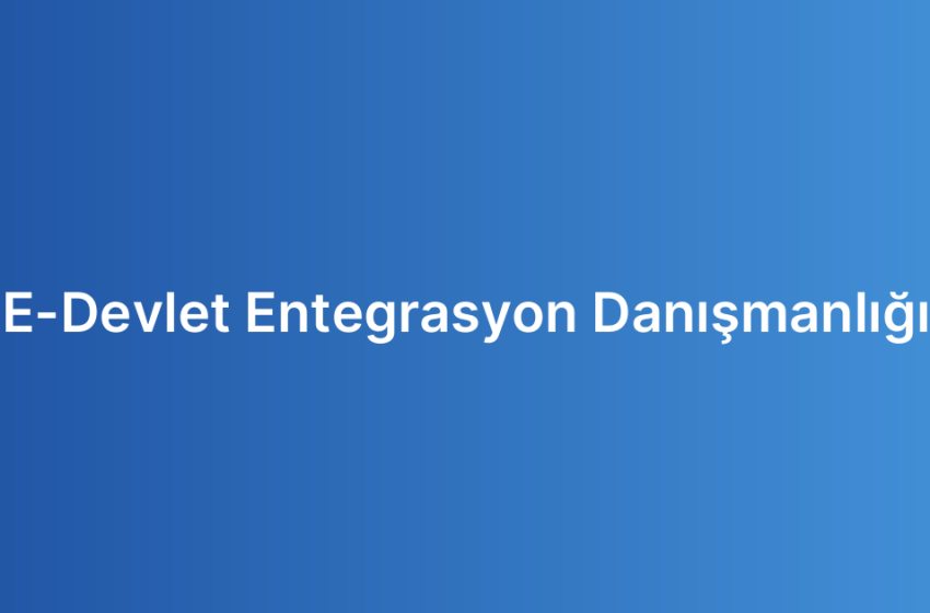 E-Devlet Entegrasyon Danışmanlığı