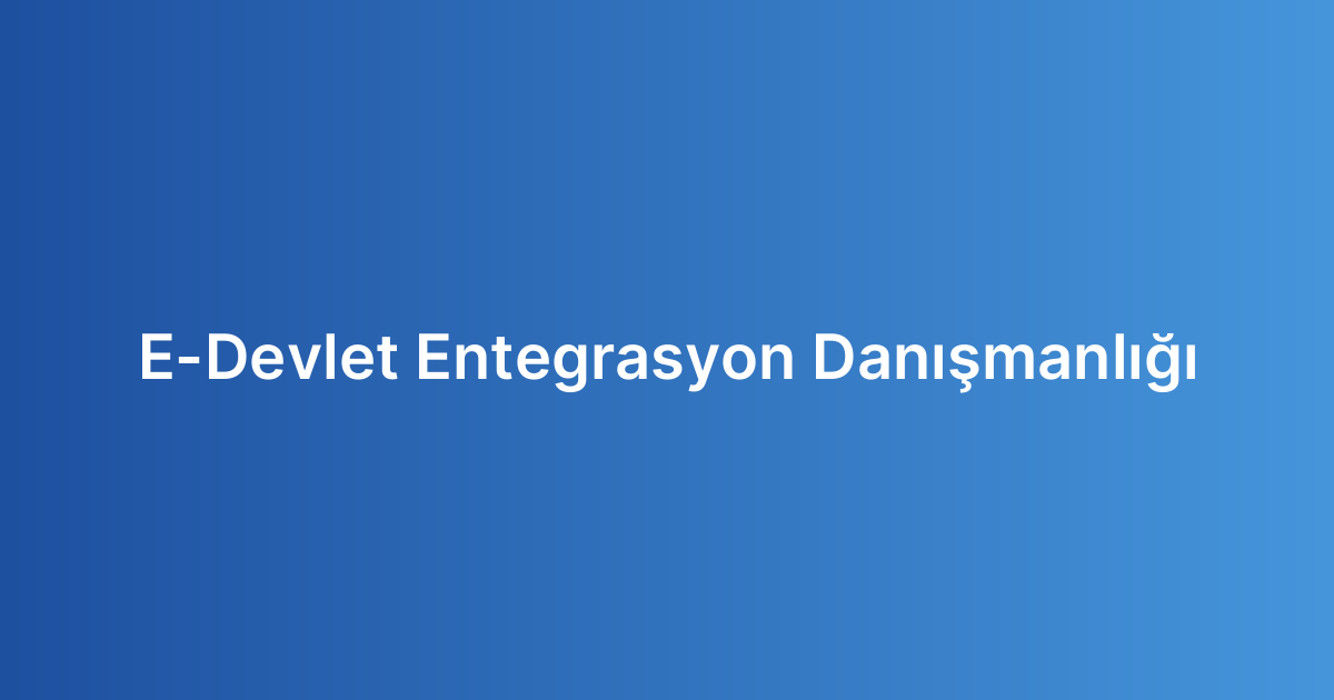 E-Devlet Entegrasyon Danışmanlığı
