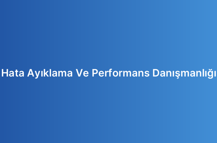 Hata Ayıklama Ve Performans Danışmanlığı