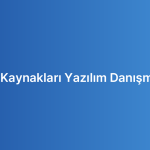 İnsan Kaynakları Yazılım Danışmanlığı