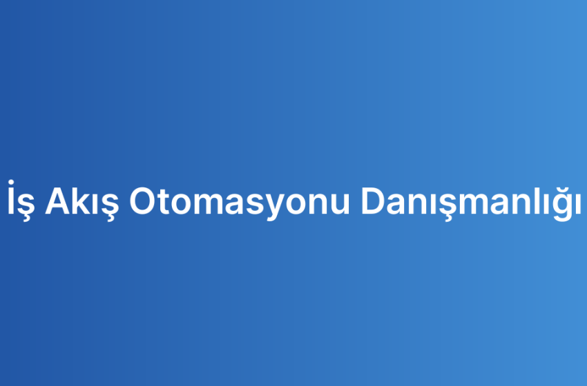 İş Akış Otomasyonu Danışmanlığı