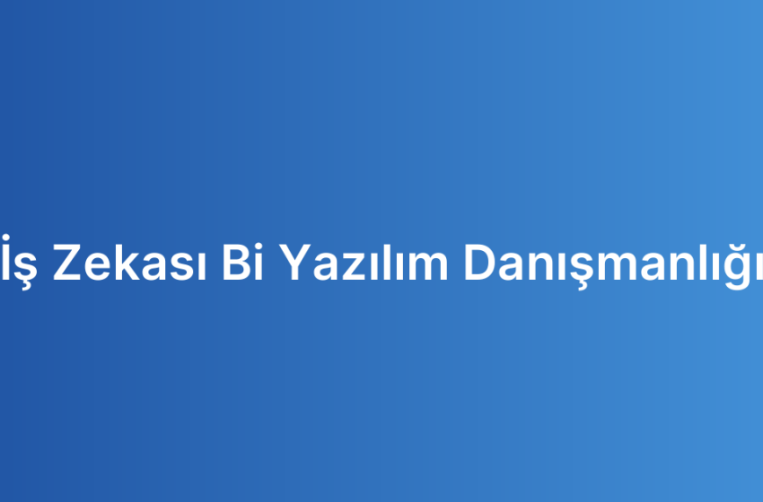 İş Zekası Bi Yazılım Danışmanlığı