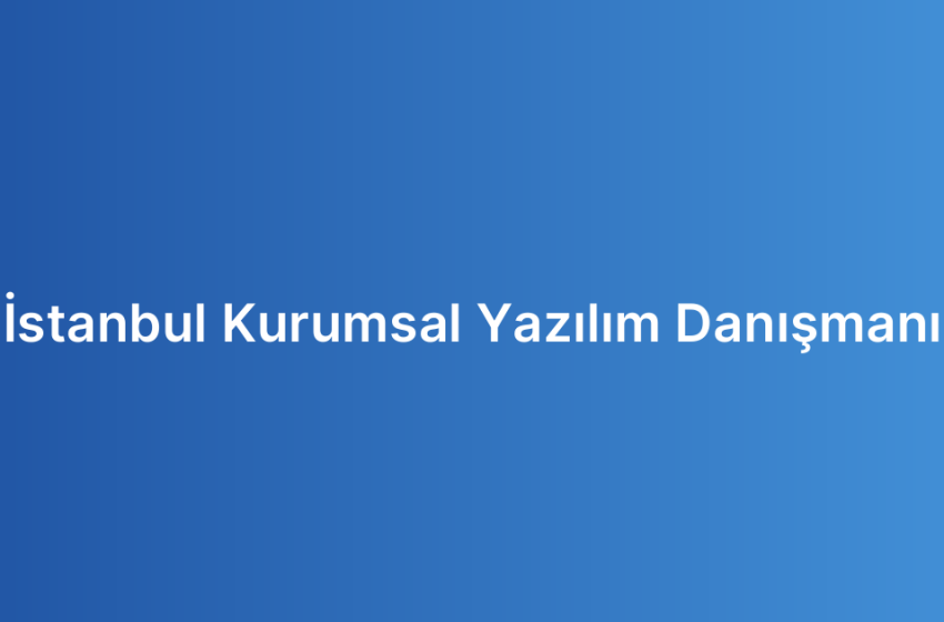İstanbul Kurumsal Yazılım Danışmanı
