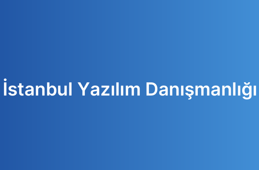 İstanbul Yazılım Danışmanlığı