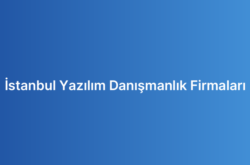 İstanbul Yazılım Danışmanlık Firmaları