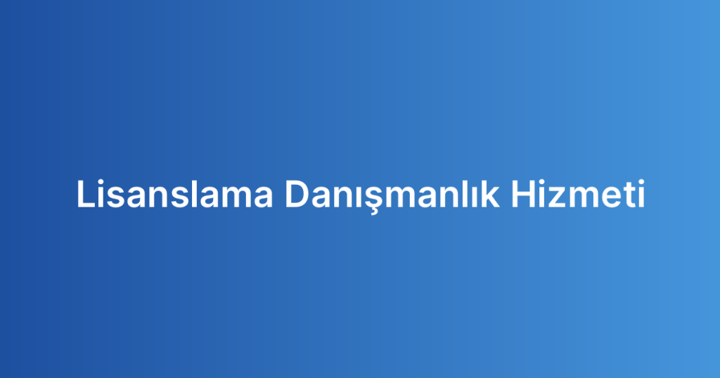 Lisanslama Danışmanlık Hizmeti