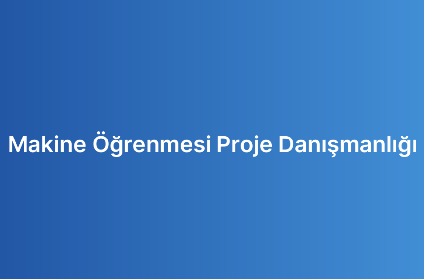 Makine Öğrenmesi Proje Danışmanlığı