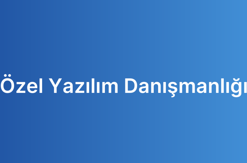 Özel Yazılım Danışmanlığı