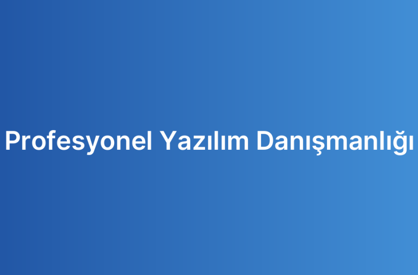 Profesyonel Yazılım Danışmanlığı