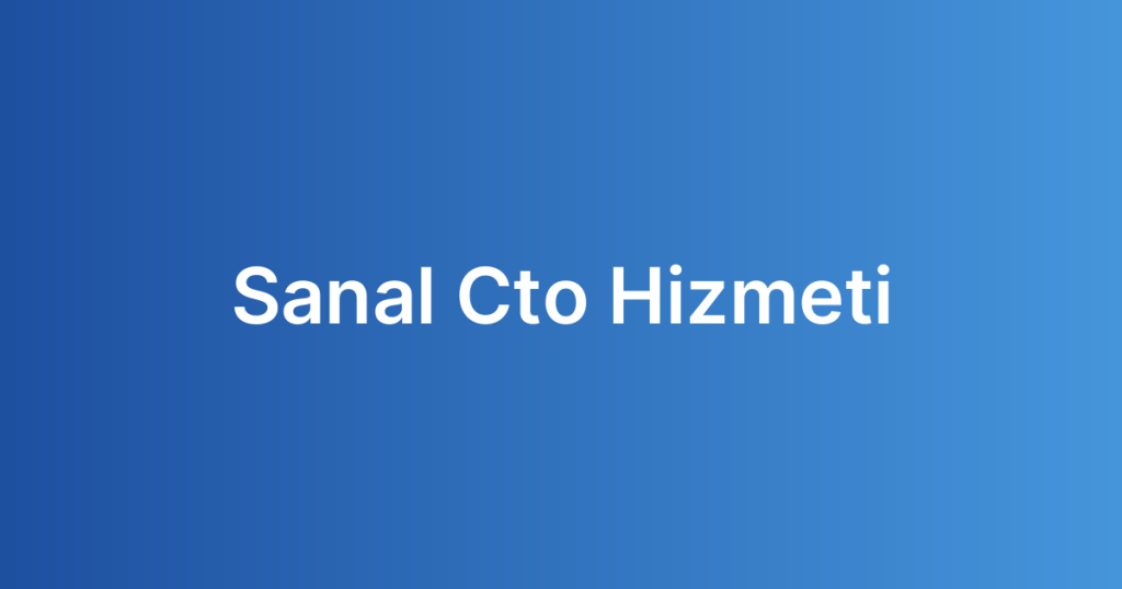 Sanal Cto Hizmeti