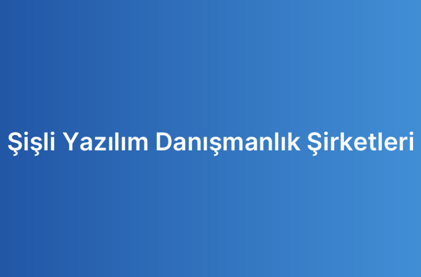 Şişli Yazılım Danışmanlık Şirketleri