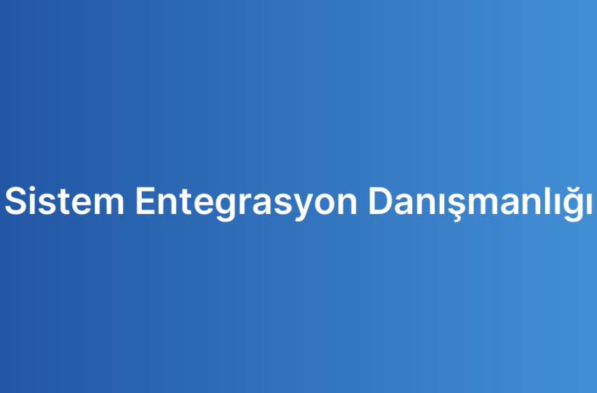 Sistem Entegrasyon Danışmanlığı