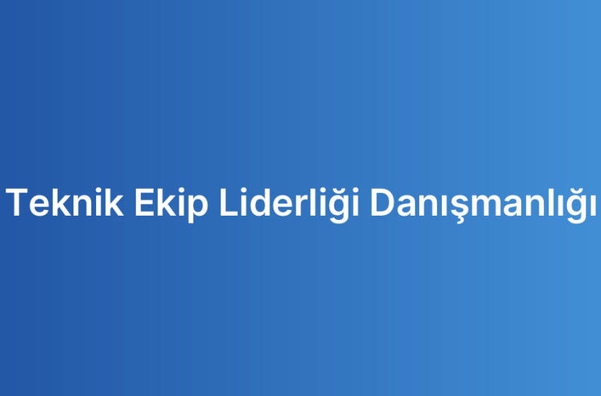 Teknik Ekip Liderliği Danışmanlığı