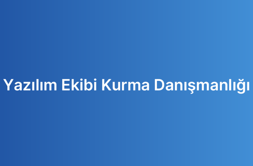 Yazılım Ekibi Kurma Danışmanlığı