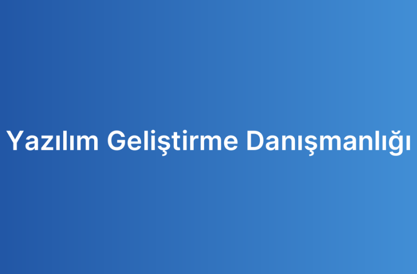 Yazılım Geliştirme Danışmanlığı