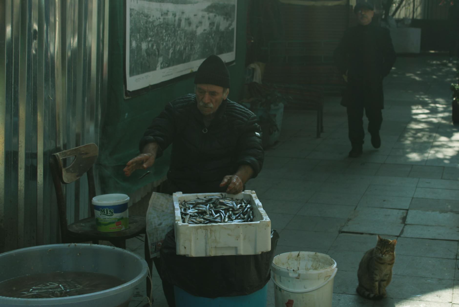 Anadolu Yakası Yazılım Danışmanlığı