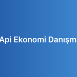 Açık Api Ekonomi Danışmanlığı