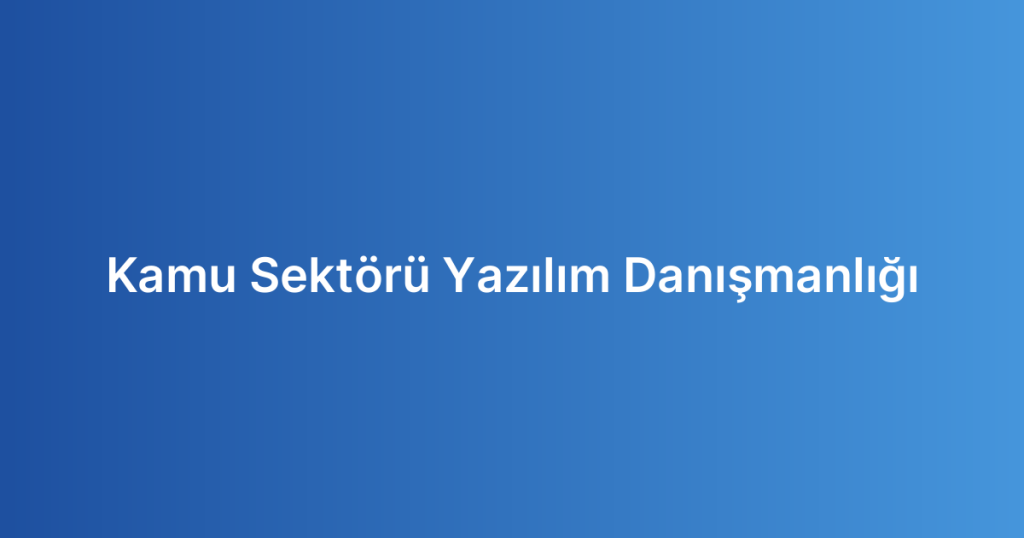Kamu Sektörü Yazılım Danışmanlığı