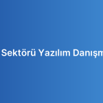 Kamu Sektörü Yazılım Danışmanlığı