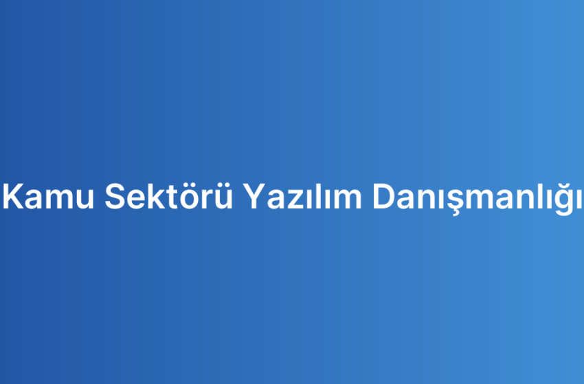 Kamu Sektörü Yazılım Danışmanlığı