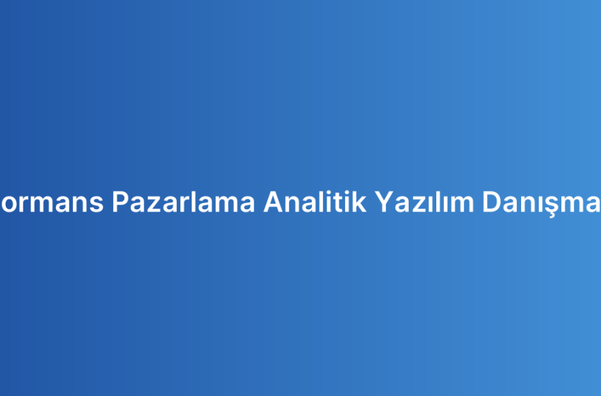 Performans Pazarlama Analitik Yazılım Danışmanlığı