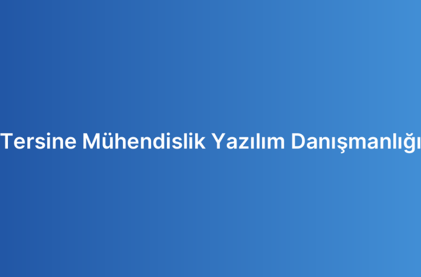 Tersine Mühendislik Yazılım Danışmanlığı