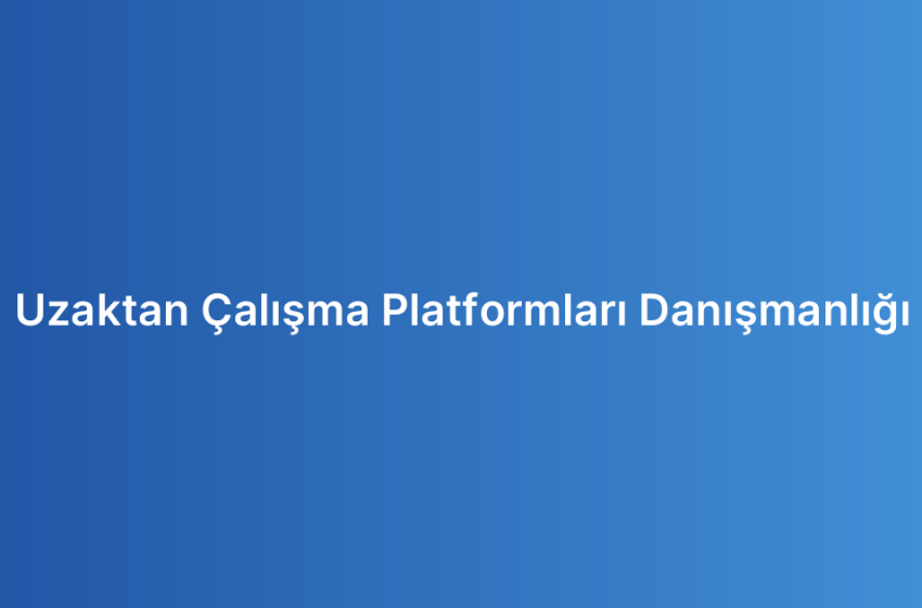 Uzaktan Çalışma Platformları Danışmanlığı